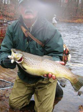 Nice brown! See message board for details